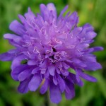 DSCN0324